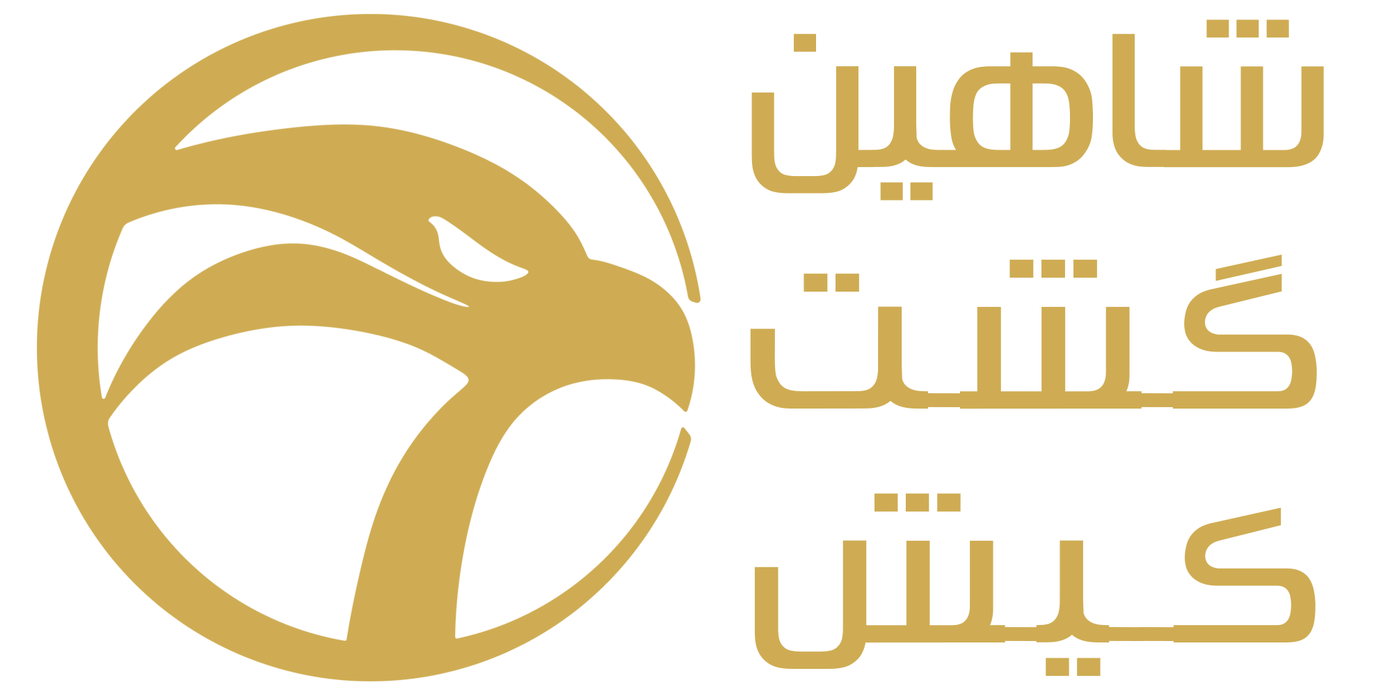 آژانس شاهین گشت کیش