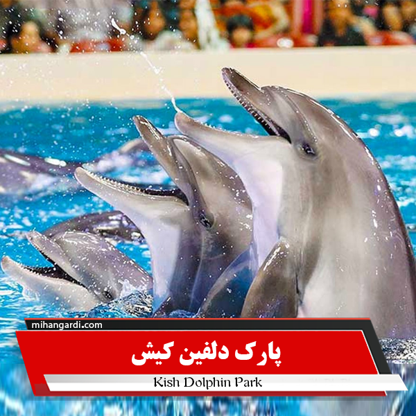 پارک دلفین کیش پارک دلفین کیش